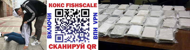 Cocaine Fish Scale  мега   Тверь 