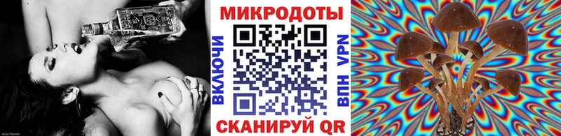 гидра   где купить наркоту  Тверь  Псилоцибиновые грибы Psilocybine cubensis 