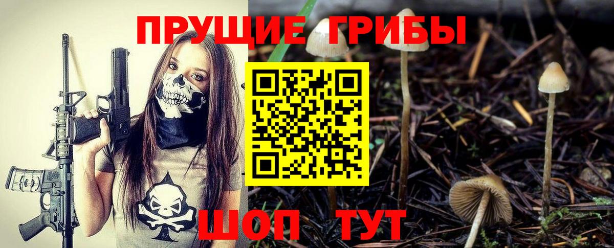 Галлюциногенные грибы Psilocybine cubensis  Вход с VPN  Тверь  Псилоцибиновые грибы мухоморы 