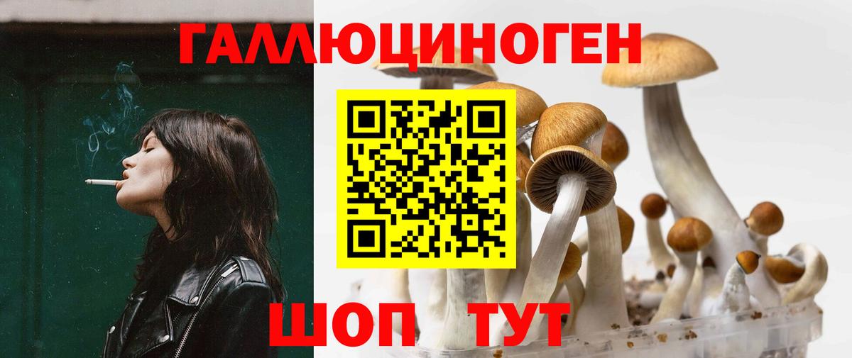 Псилоцибиновые грибы MAGIC MUSHROOMS Тверь