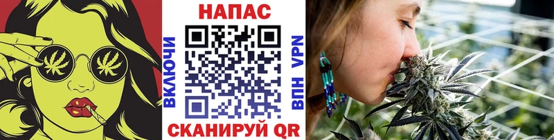 Бошки Шишки план  MEGA рабочий сайт  Тверь 