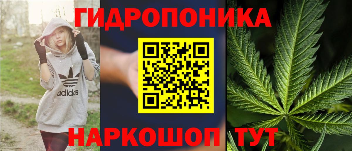 Марихуана сатива  МАРИХУАНА марихуана  Конопля AK-47  Тверь 